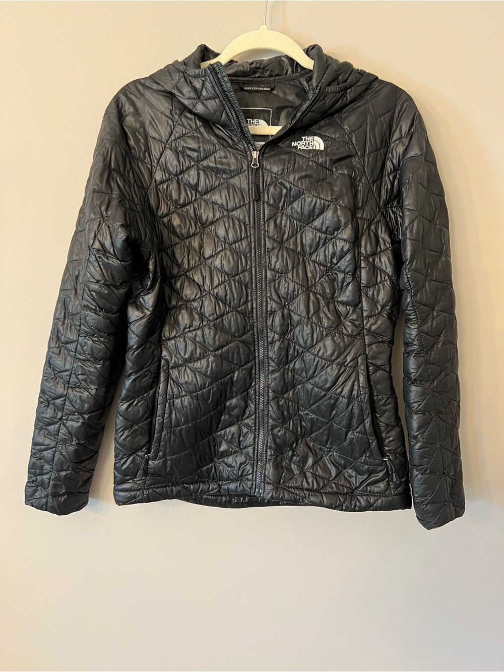 The North Face Women's Black Quilted Hooded Puffer Jacket